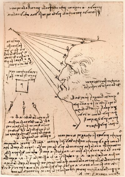 Tekening van een mannelijk hoofd, illustratie van de schilderpraktijk door Leonardo da Vinci