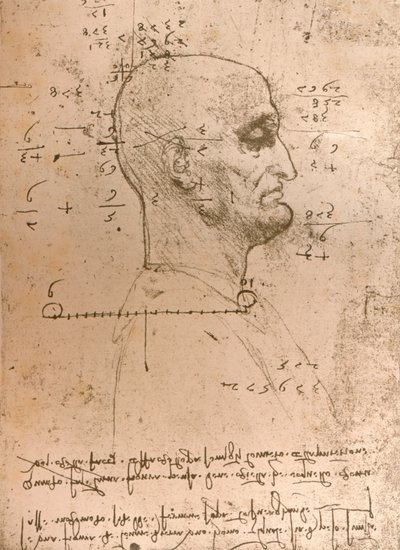 Tekening van het hoofd van een crimineel, ca. 1472-ca. 1519, 1883 door Leonardo da Vinci