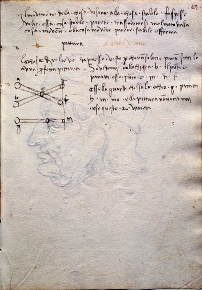 Uittreksel uit boek van schilderijen, uit Codex Trivulzianus door Leonardo da Vinci