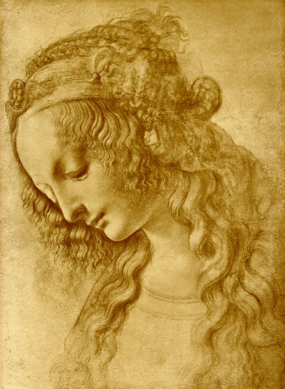 Vrouwelijk hoofd door Leonardo da Vinci