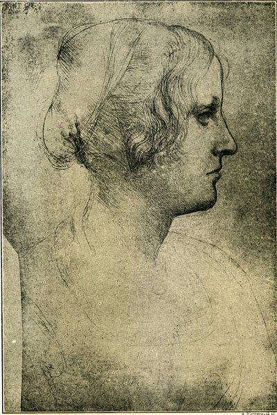 Vrouwelijk profielhoofd door Leonardo da Vinci