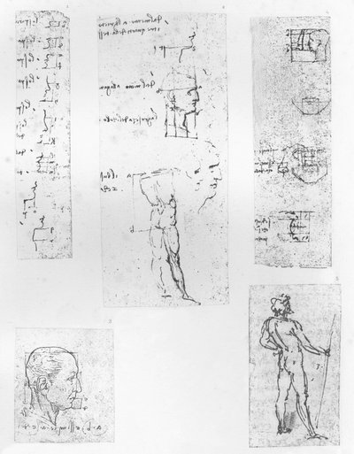 Vijf tekeningen die de theorie van de proporties van het menselijk figuur illustreren, ca. 1472-ca. 1519 door Leonardo da Vinci