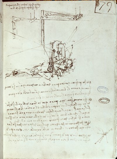 Vliegmachine tekening. Manuscript van Leonardo da Vinci door Leonardo da Vinci