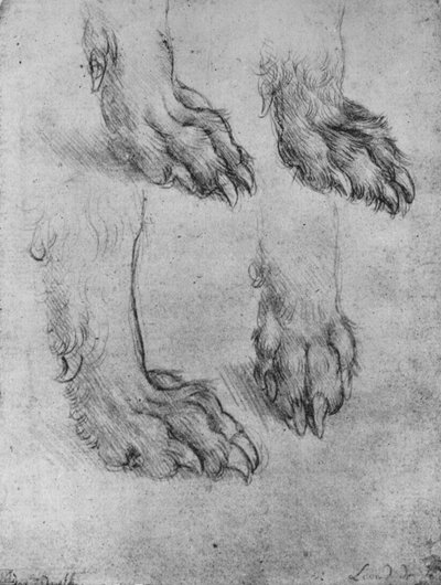 Vier Studies van de Poten van een Hond of Wolf, ca. 1480, 1945 door Leonardo da Vinci