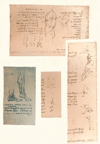 Vier tekeningen die de theorie van de bewegingen van het menselijk lichaam illustreren, ca. 1472-ca. 1519, 1883 door Leonardo da Vinci