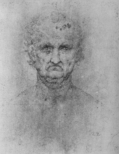 Gezicht van een oude man, ca. 1480 door Leonardo da Vinci
