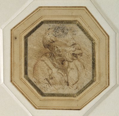 Groteks hoofd (pen en inkt op papier) door Leonardo da Vinci