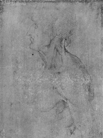 Hoofd en buste van een oude man naar links, c1480 1945 door Leonardo da Vinci