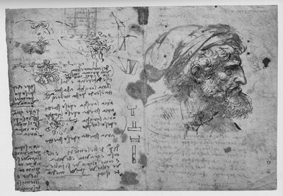 Hoofd en schouders van een bebaarde man, ca. 1480 door Leonardo da Vinci