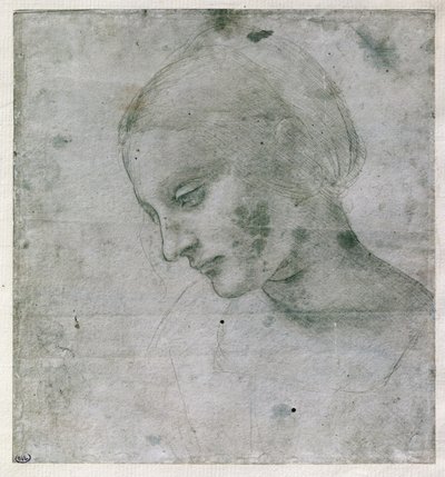 Hoofd van een Jonge Vrouw of Hoofd van de Maagd door Leonardo da Vinci