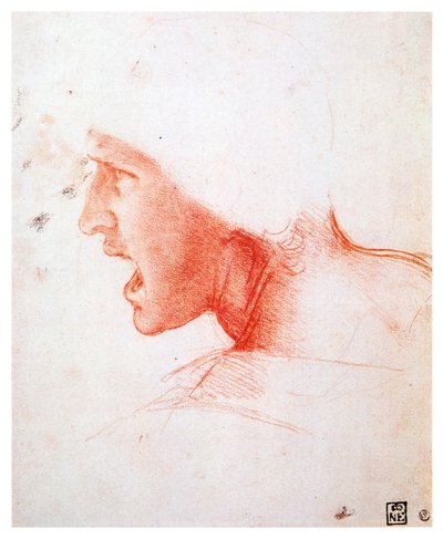 Hoofd van een man die in profiel naar links schreeuwt, 1503-1504 door Leonardo da Vinci