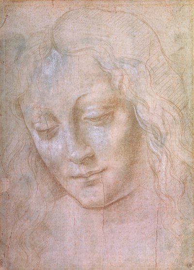 Hoofd van een vrouw door Leonardo da Vinci