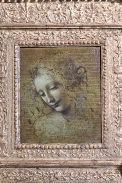 Hoofd van een vrouw, genaamd "la scapigliata", c.1492-1501 door Leonardo da Vinci