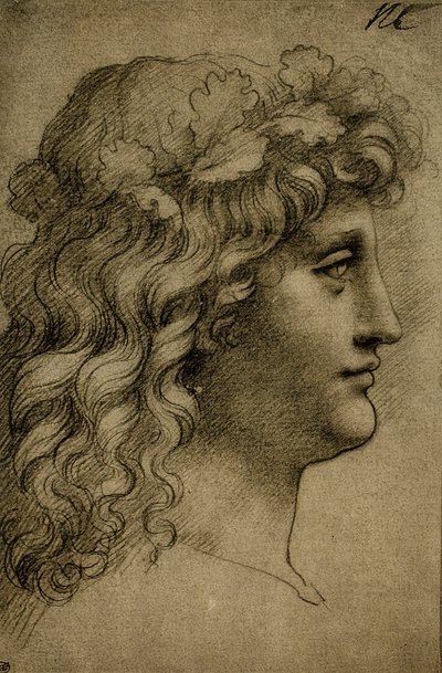Hoofd van een jonge man door Leonardo da Vinci