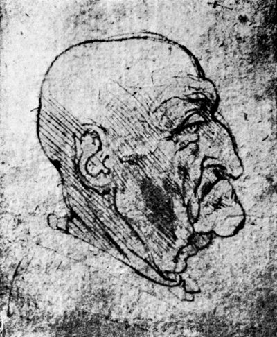 Hoofd van een oude man, 1913 door Leonardo da Vinci