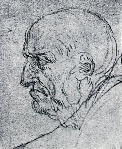 Hoofd van een Oude Man, 1913 door Leonardo da Vinci