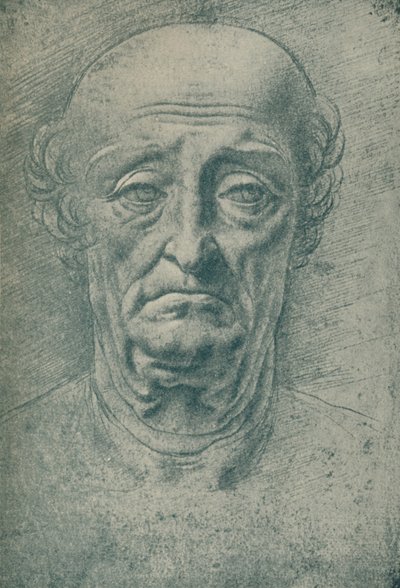 Hoofd van een oude man door Leonardo da Vinci