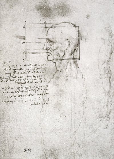 Hoofd van een oude man in profiel, facsimile kopie door Leonardo da Vinci