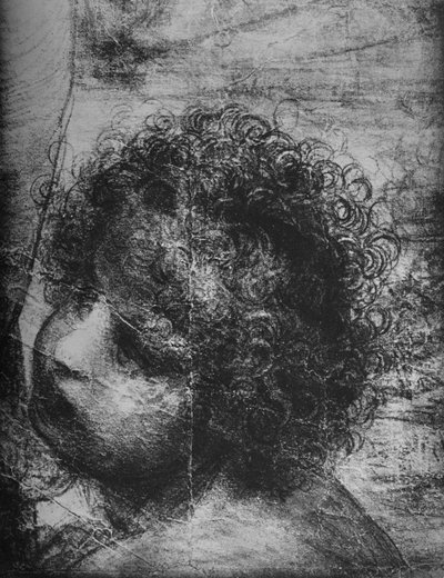Hoofd van de jonge St. Johannes - Maagd en Kind met St. Anna en jonge St. Johannes, c1480 1945 door Leonardo da Vinci
