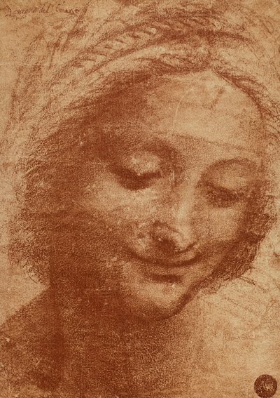 Hoofd van de vrouw of van Sant