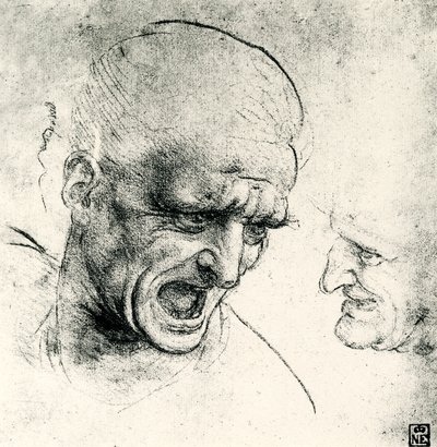 Hoofdstudies door Leonardo da Vinci