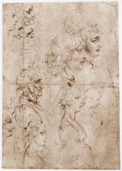 Hoofden van Meisjes, Jonge en Oude Mannen, 1478-1480 door Leonardo da Vinci