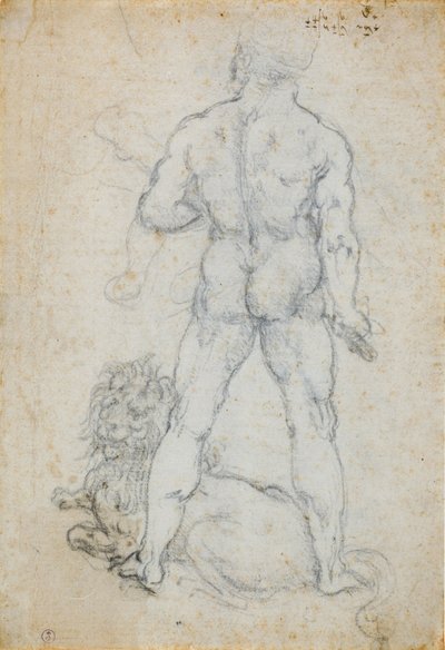 Hercules en de Nemeïsche leeuw, c. 1506-08 door Leonardo da Vinci