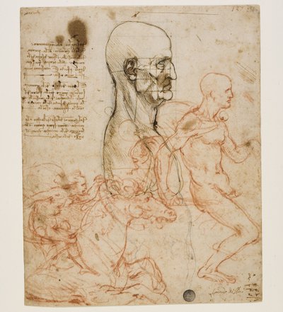 Menselijke buste in profiel met studie van verhoudingen, ca. 1490-1499 door Leonardo da Vinci