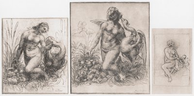 Leda en de Zwaan, ca. 1504-1506 door Leonardo da Vinci