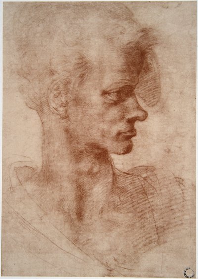 Karikatuurportret van een jonge man door Leonardo da Vinci