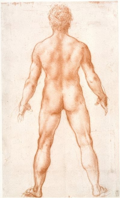 Mannelijk naakt van achteren door Leonardo da Vinci