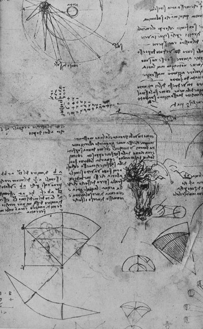 Aantekeningen over Astronomie en Studie van een Paardenhoofd door Leonardo da Vinci