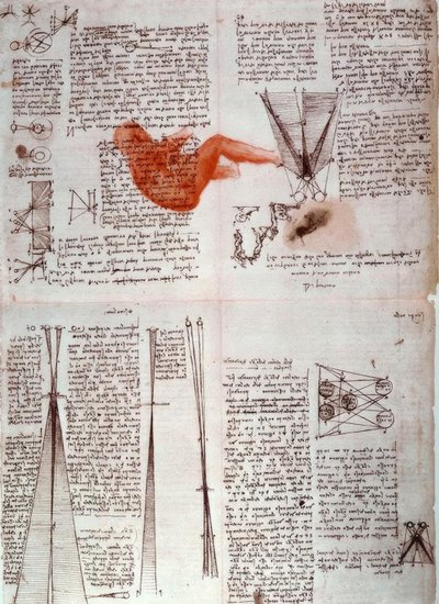 Notities over de fysiologie van het zien door Leonardo da Vinci