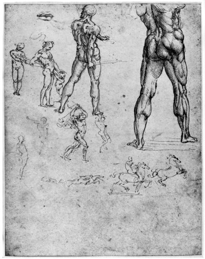 Naaktstudies voor De Slag bij Anghiari, ca. 1503-1505, 1954 door Leonardo da Vinci