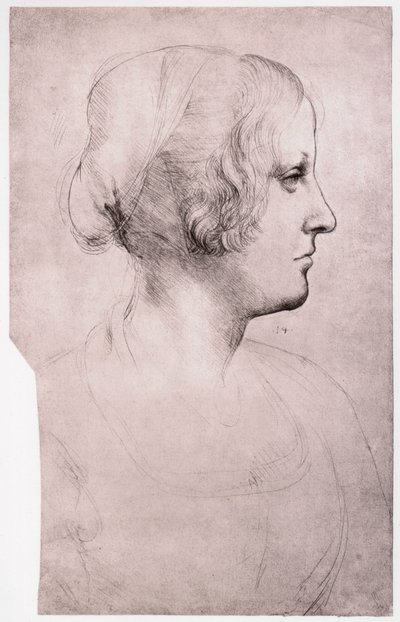 Portret van een meisje met een muts, 1493-1495 door Leonardo da Vinci