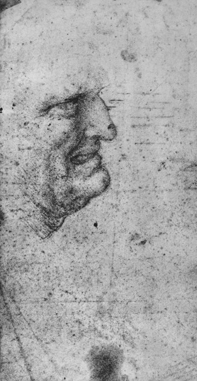 Profiel van een man met geklemde tanden, ca. 1480 door Leonardo da Vinci