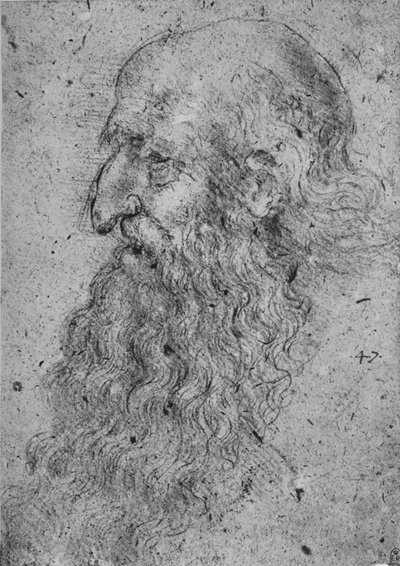 Profiel van een Oude, Bebaarde Man naar Links, c1480 door Leonardo da Vinci
