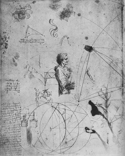 Profiel van een oude man, planten, geometrische figuren, enz. door Leonardo da Vinci