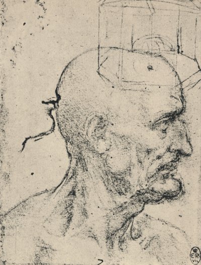 Profiel naar rechts van een kale man door Leonardo da Vinci
