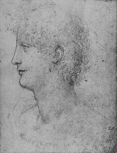 Profiel Naar Links Van Een Krullend-Hoofdige Jongeling, ca. 1480 1945 door Leonardo da Vinci