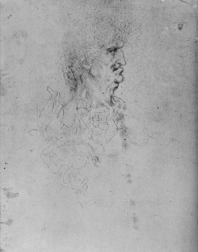 Profiel naar rechts van een oude man, ca. 1480 1945 door Leonardo da Vinci