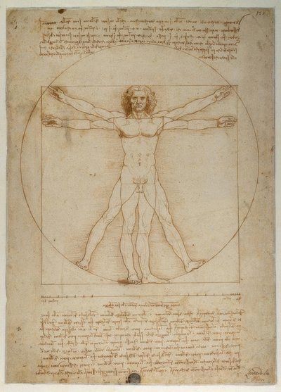 Proportieschema van de menselijke gestalte volgens Vitruvius door Leonardo da Vinci