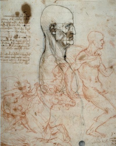 Proportieschema van het Menselijk Hoofd en Ruiterstudies door Leonardo da Vinci