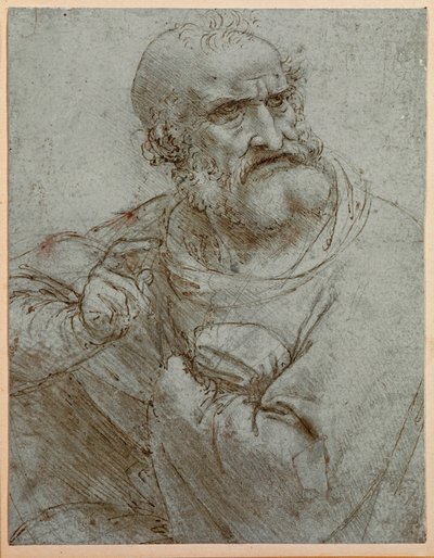  door Leonardo da Vinci