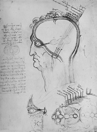 Secties van een mans hoofd die de anatomie van het oog tonen door Leonardo da Vinci