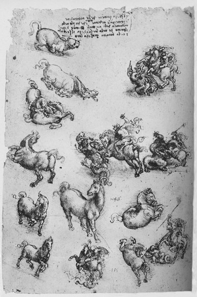 Blad met Studies van Paarden, een Kat en van St. Joris en de Draak, ca. 1480 1945 door Leonardo da Vinci