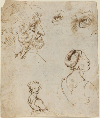 Blad met studies door Leonardo da Vinci