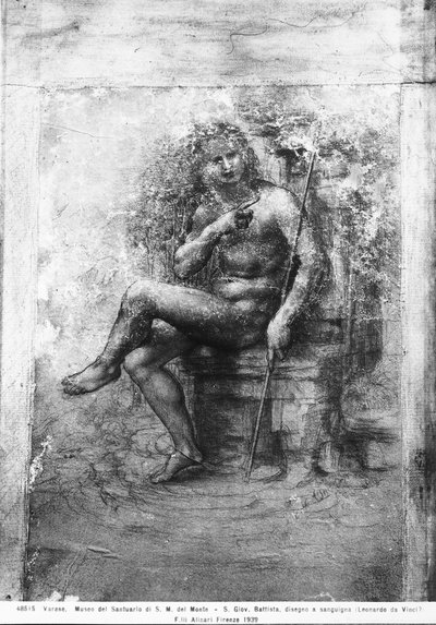 Sint Johannes de Doper door Leonardo da Vinci