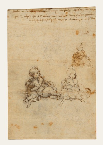  door Leonardo da Vinci