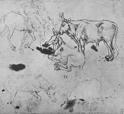 Studies van ezels en een os, ca. 1480 1945 door Leonardo da Vinci
